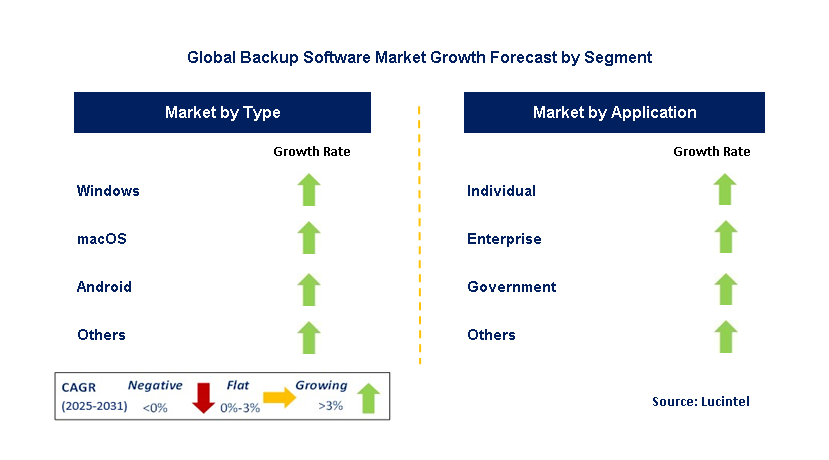 Backup Software Market by Segment